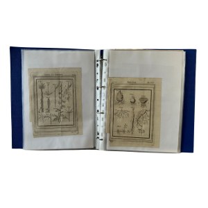 Book containing 40 sheets including watercolor illustrations, advertising prints, geometric drawings, design drawings, and various others