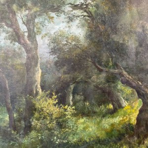 F. CAPUANO, Wooded forest - F. Capuano (1854 - 1908)