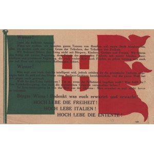 Dannunziana - Volo su Vienna, volantino tricolore tedesco