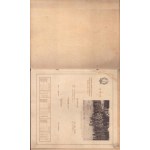 Arditismo , Prima Guerra Mondiale - I° divisione d'assalto 1919