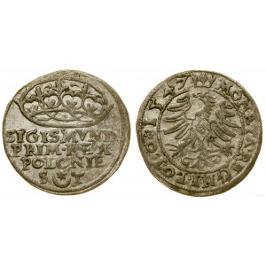 Polonia, penny, 1547, Cracovia