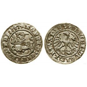 Polska, półgrosz, 1513, Wilno