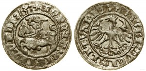 Polonia, mezzo penny, 1513, Vilnius