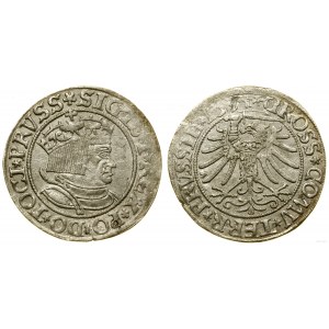Polska, grosz, 1534, Toruń