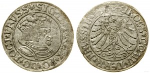 Pologne, penny, 1534, Toruń