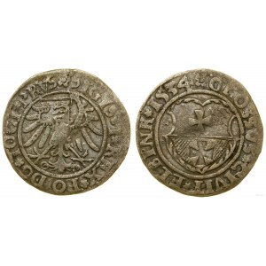Polska, grosz, 1534, Elbląg