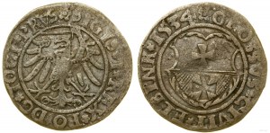 Polsko, penny, 1534, Elbląg