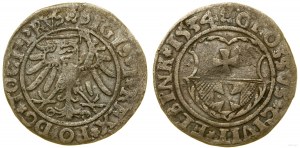 Polonia, penny, 1534, Elbląg