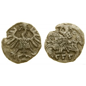 Polska, denar, 1555, Wilno