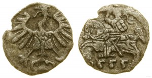 Pologne, denier, 1555, Vilnius