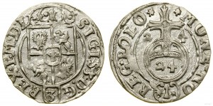 Pologne, półtorak, 1624, Bydgoszcz