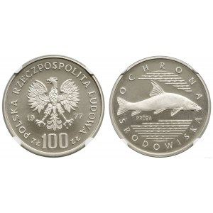 Polska, 100 złotych, 1977, Warszawa