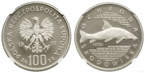 Polonia, 100 zloty, 1977, Varsavia