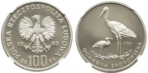 Polonia, 100 zloty, 1982, Varsavia