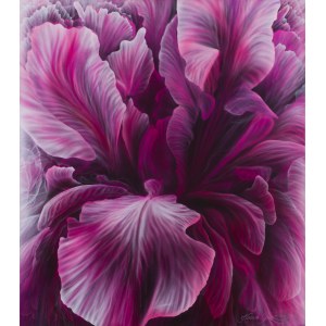 Hanna Rozpara (b. 1990, Sosnowiec), Iris magenta, 2024