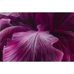 Hanna Rozpara (b. 1990, Sosnowiec), Iris magenta, 2024