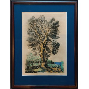 Mojżesz KISLING (1891-1953), Drzewo na Cote d'Azur, 1954