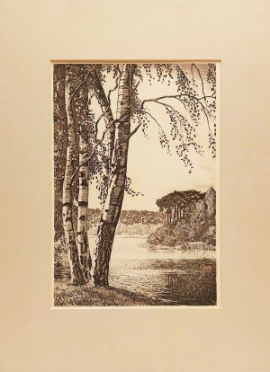 Artist unspecified (20th century), Birches by the lake