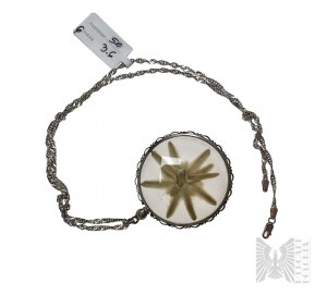 Stříbrný řetízek s přívěskem Sušený edelweiss - Stříbro 925