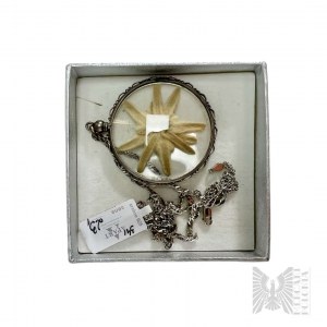 Stříbrný řetízek s přívěskem Sušený edelweiss - Stříbro 925