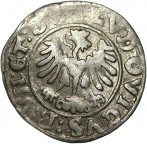 Silesia - Ludwig Jagiellonian (1516-1526) - Half-penny 1523 Świdnica