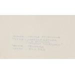 Celina STYRYLSKA-TARANCZEWSKA (1923-2010), Martwa natura z butelką i trzema muszlami