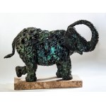 Zbigniew Bachanek, Elefant