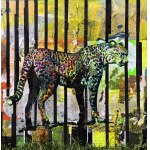 Monika Solorz, Gepard - lato