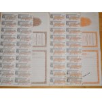 1955. COLLECTION OF 2 SHARES OF NEW YORK CENTRAL RAILROAD COMPANY STOCK. $50 AND $100.