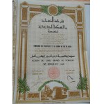 1881-1965. ZBIÓR 5 AKCJI KOLEJOWYCH Z ROSJI, BELGII, FRANCJI, TUNEZJI.
