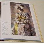 Giendycz Piotr P. - Arcydzieła malarstwa rosyjskiego ILUSTRACJE