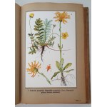 VERDMON - CURATION DES PLANTES Wyd.1936 TABLEAUX DES COULEURS