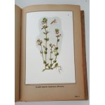 VERDMON - CURATION DES PLANTES Wyd.1936 TABLEAUX DES COULEURS