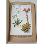 VERDMON - CURATION DES PLANTES Wyd.1936 TABLEAUX DES COULEURS