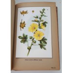 VERDMON - CURATION DES PLANTES Wyd.1936 TABLEAUX DES COULEURS