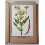 VERDMON - CURATION DES PLANTES Wyd.1936 TABLEAUX DES COULEURS