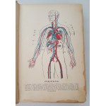VERDMON - CURATION DES PLANTES Wyd.1936 TABLEAUX DES COULEURS