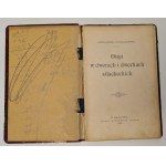 Wybranowski Aleksander - Ongi w dworach i dworkach szlacheckich Wyd. 1898