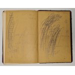 Wybranowski Aleksander - Ongi w dworach i dworkach szlacheckich Wyd. 1898