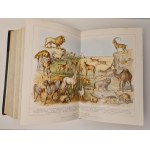 THE JEWISH ENCYCLOPEDIA Vol.I-XII Ed.1901-1906