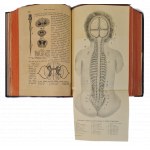 SPRINGER Janina - DOMÁCÍ LEKCE Ilustrace