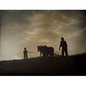 FOTOGRAFIE - Orca, Bogdan Kasperski, Großformat 40 cm
