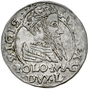 Sigismund II Augustus 1545-1572, Grosz per Polish foot 1566, Tykocin. RR, h. Jastrzębiec.