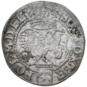 Zygmunt III 1587-1632, Szeląg 1592 I-F, Olkusz.