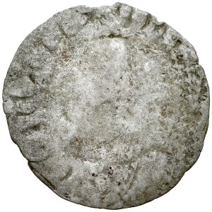 Czechy, Ferdynand I 1526-1564, Bily peniz bez daty, jednostronny, Av.: Lew. Kutna Hora.