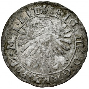 Zygmunt III 1587-1632, Grosz 1610, Wilno. RRR.