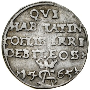 Zygmunt II August 1545-1572, Trojak szyderczy 1565, Wilno. R.