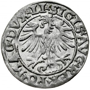 Sigismund II Augustus 1545-1572, Half-penny 1554, Vilnius, R.