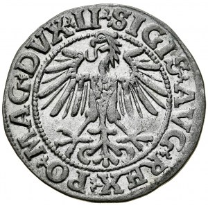 Sigismund II Augustus 1545-1572, Half-penny 1549, Vilnius.