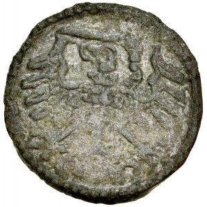Zygmunt I Stary 1506-1548, Denar bez daty, Toruń.